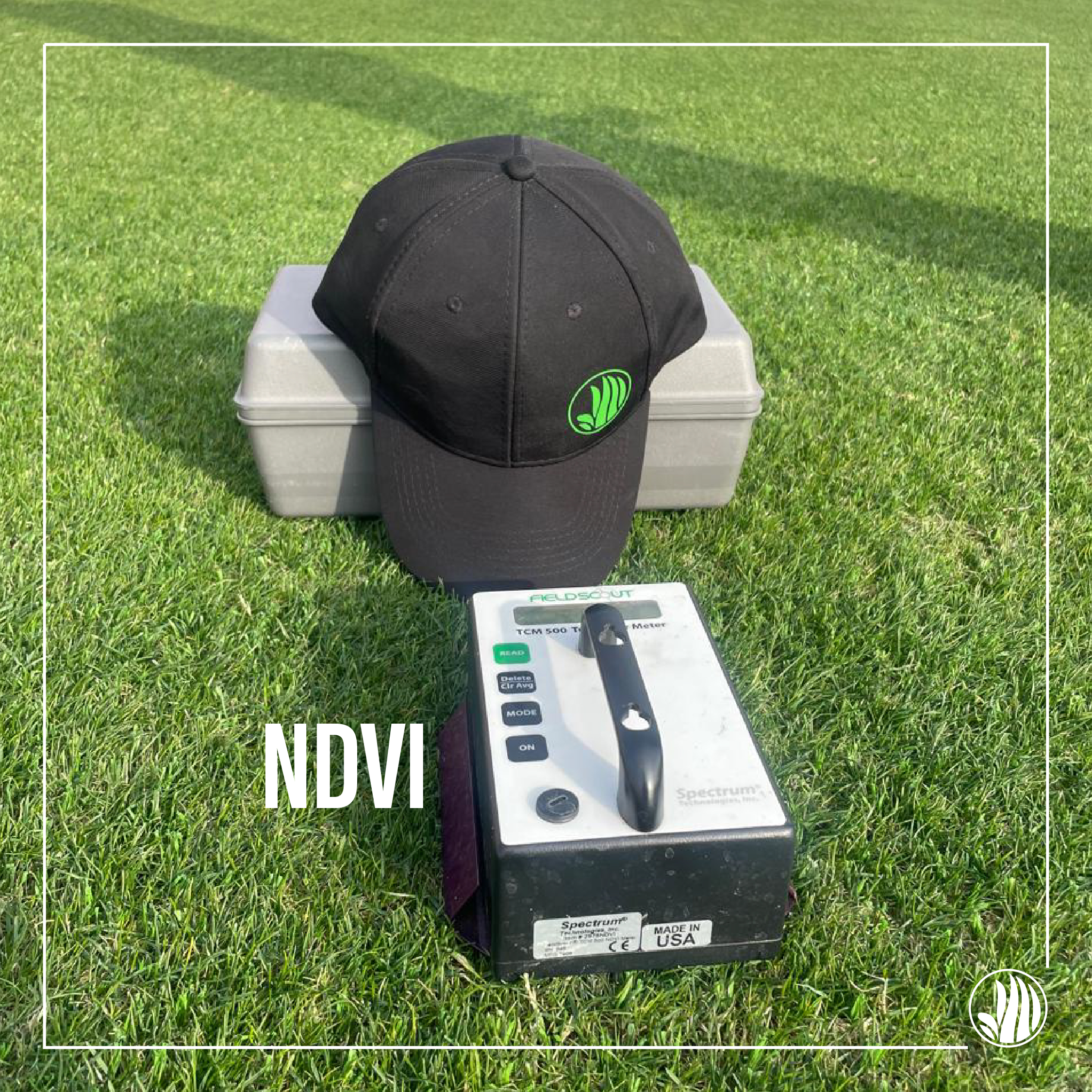 Índice NDVI